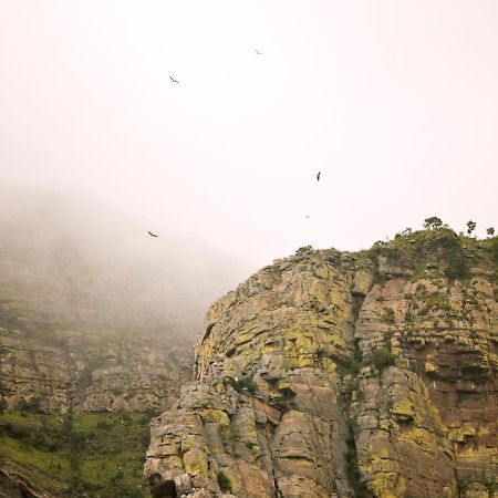 Cape Vulture Conservancy Hoedspruit Dış mekan fotoğraf