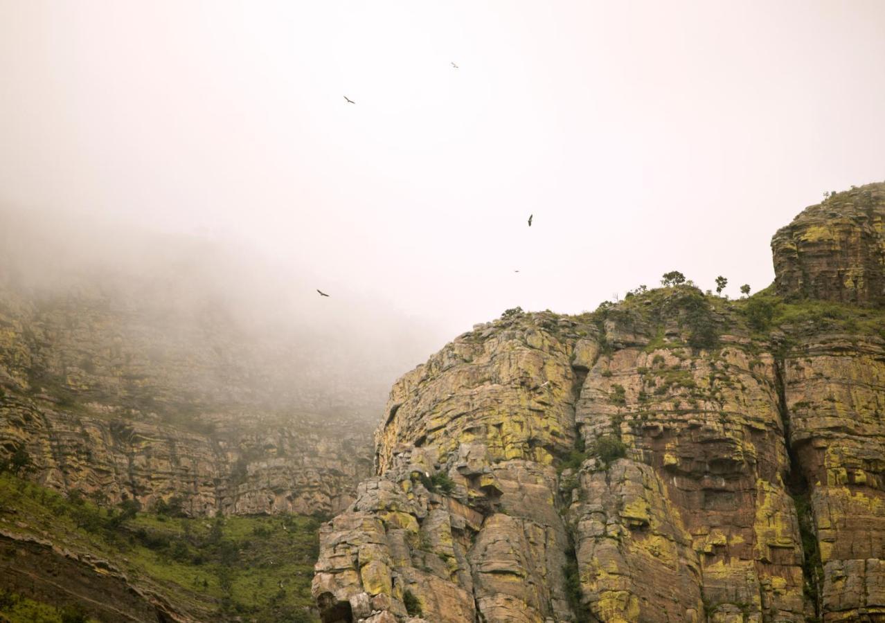 Cape Vulture Conservancy Hoedspruit Dış mekan fotoğraf