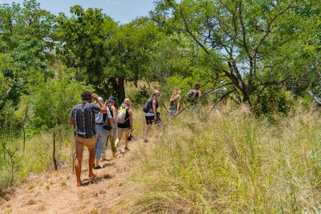 Cape Vulture Conservancy Hoedspruit Dış mekan fotoğraf