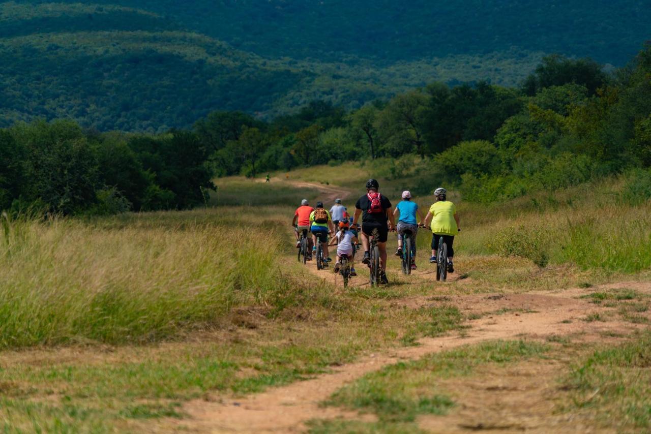 Cape Vulture Conservancy Hoedspruit Dış mekan fotoğraf