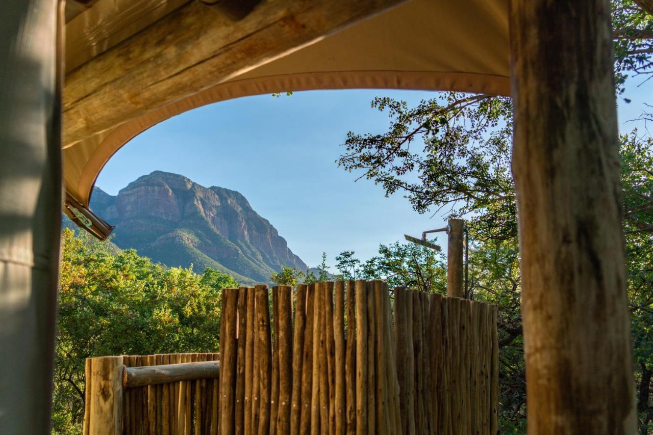 Cape Vulture Conservancy Hoedspruit Dış mekan fotoğraf